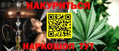 a pvp Новозыбков