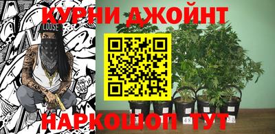 a pvp Новозыбков