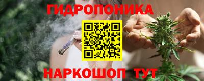 a pvp Новозыбков