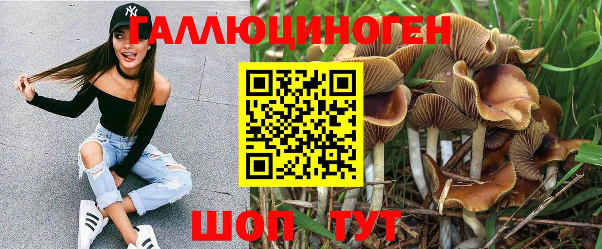 Псилоцибиновые грибы мухоморы  Псилоцибиновые грибы Psilocybine cubensis  Ртищево  наркотики  Вход с VPN 